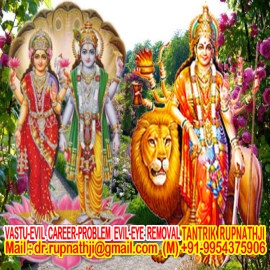 astro guidance for career and life