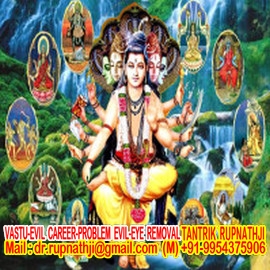 astro guidance for job