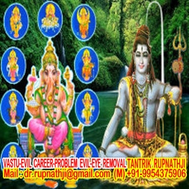 best astrologer of hollywood