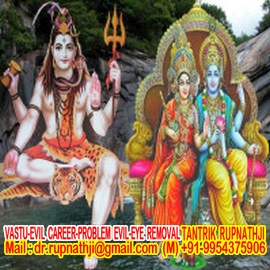 best astrologer of india