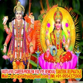 career choosing problem