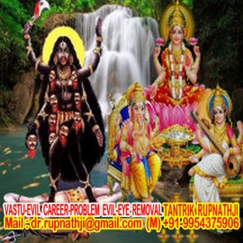 free health articles