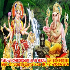 free numerology articles