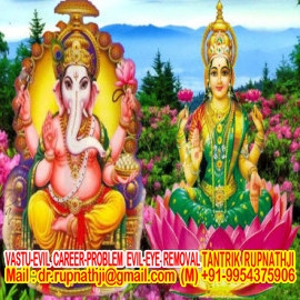 online sai amritwani