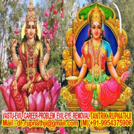 provides powerful solutions of every problems