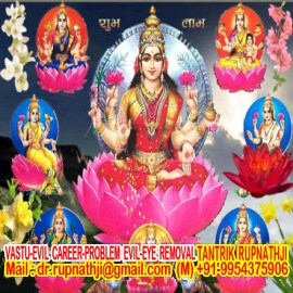 rectification of vastu defects of colony